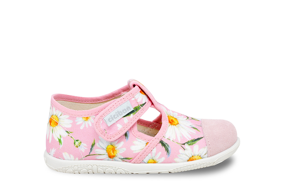 Ciciban 433 morena 19-24